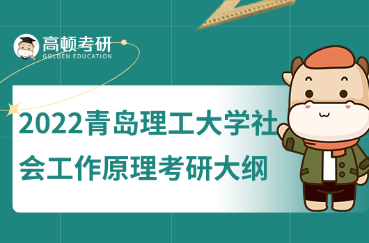 2022青島理工大學(xué)社會工作原理考研大綱